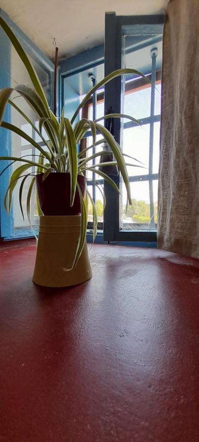 Apartment Slavija Škofja Loka Exteriér fotografie