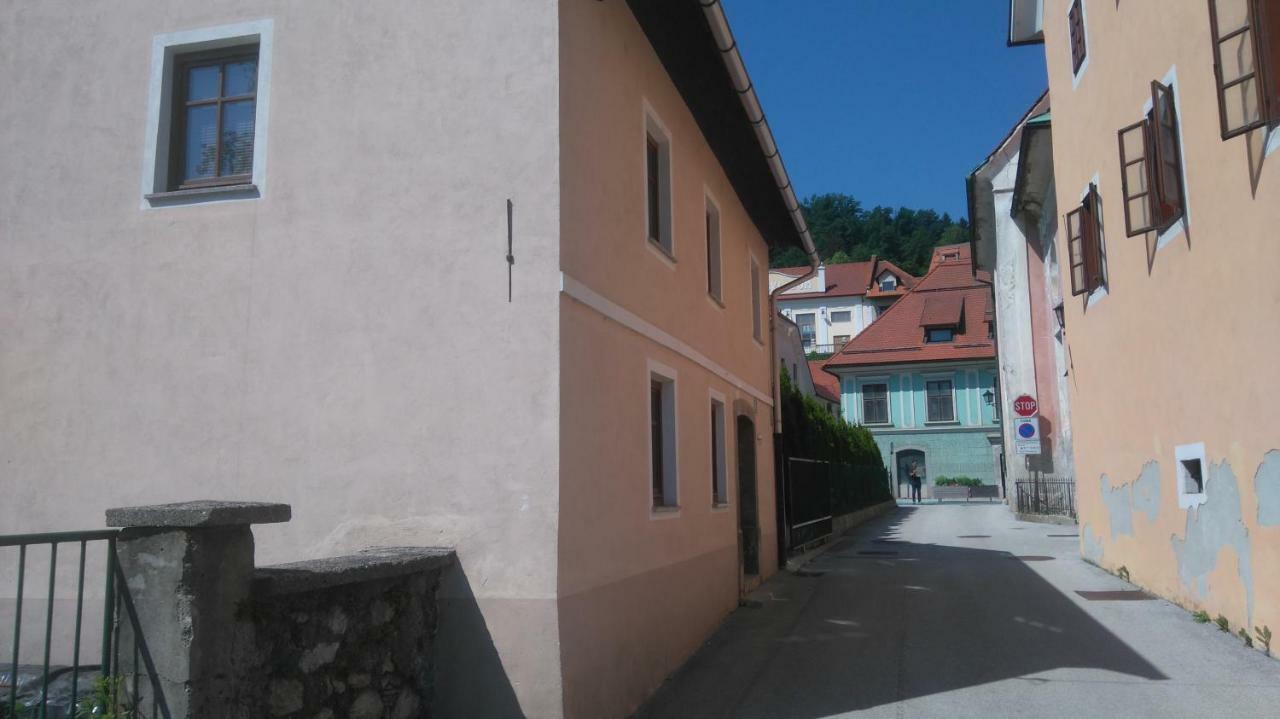 Apartment Slavija Škofja Loka Exteriér fotografie